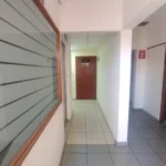 CANAL 6